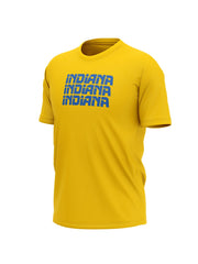Indiana Pacers Majice INDN-TH-1003 - FANS STORE -